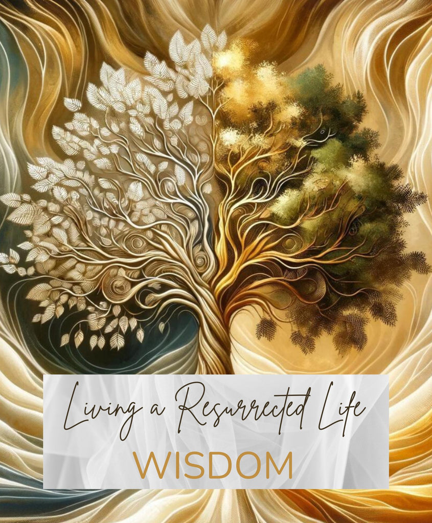 Living a Resurrected Life Devotional Journal: Wisdom